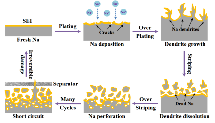 https://chem.nankai.edu.cn/__local/D/F3/F2/F594D894EEFA79AF331BE9C469F_976E9005_35069.png